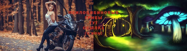мяу мяу мука Алексин