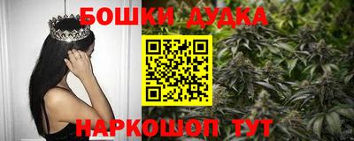 крисы Усть-Илимск