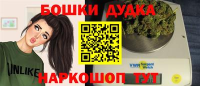 крисы Усть-Илимск