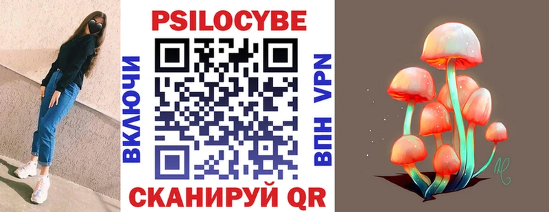 Псилоцибиновые грибы Cubensis  закладки  Слободской 
