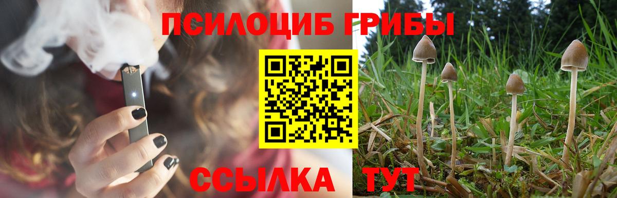 Псилоцибиновые грибы Psilocybe Слободской